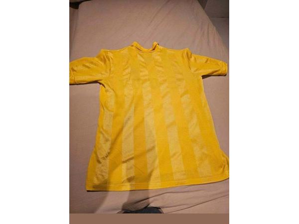 Feyenoord shirts reproducties €55
