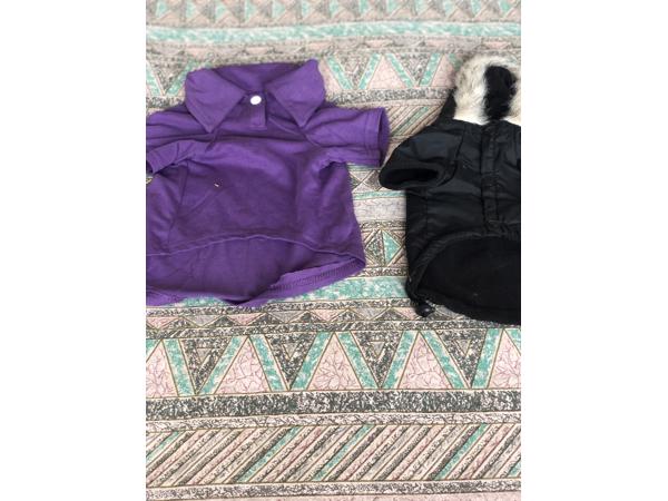 leuke  nieuwe  voor   de  kleine  hondjes   kleding