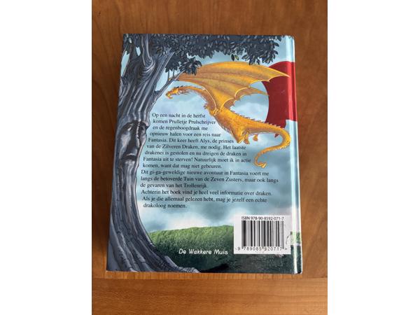 Geronimo Stilton Fantasia 4 het drakenei