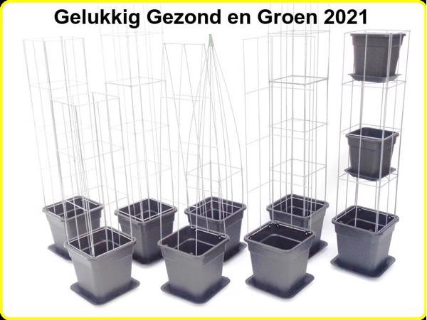 Klimplantrekken klimplantenrek plantenrekken klimplantrek