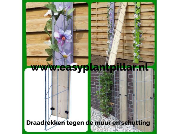 Klimplantrekken klimplantenrek plantenrekken klimplantrek