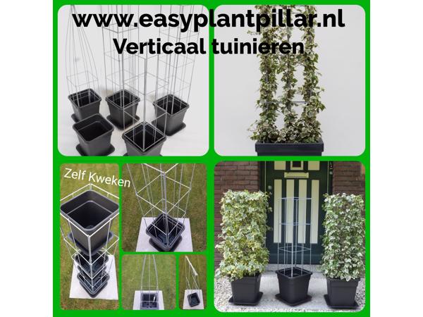 Klimplantrekken klimplantenrek plantenrekken klimplantrek