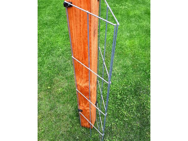 Klimplantrekken klimplantenrek plantenrekken klimplantrek