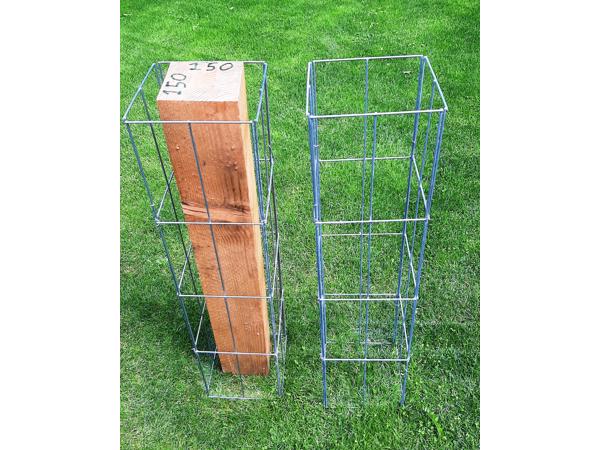 Klimplantrekken klimplantenrek plantenrekken klimplantrek