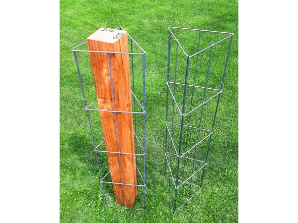 Klimplantrekken klimplantenrek plantenrekken klimplantrek