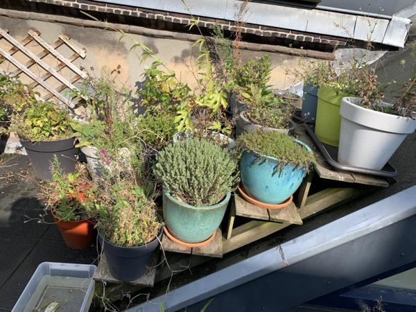 Trap voor plantenpotten