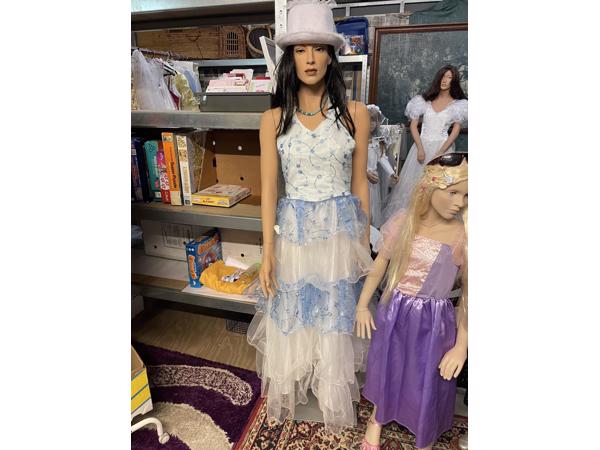 Echte Dames pop etalage