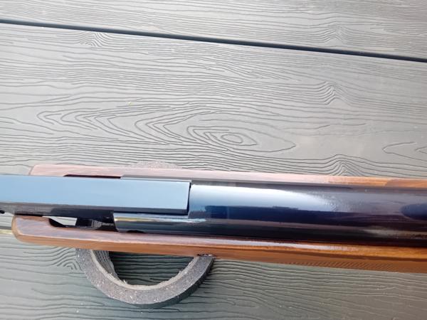 Benjamin trail np xl 5.5mm