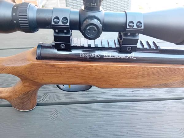 Benjamin trail np xl 5.5mm