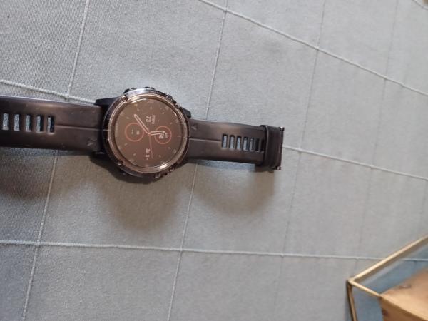 garmin fenix 5x plus sapphir,garmin oregon 550T