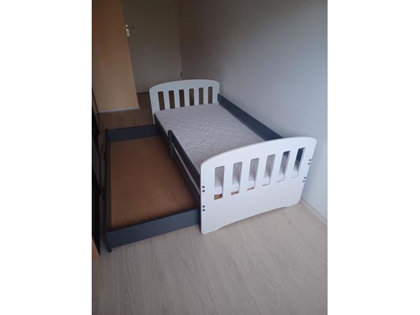 Kinderbed/kinderlogeerbed