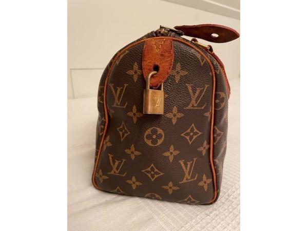 Louis Vuitton Speedy 25 tas