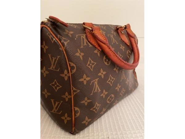 Louis Vuitton Speedy 25 tas