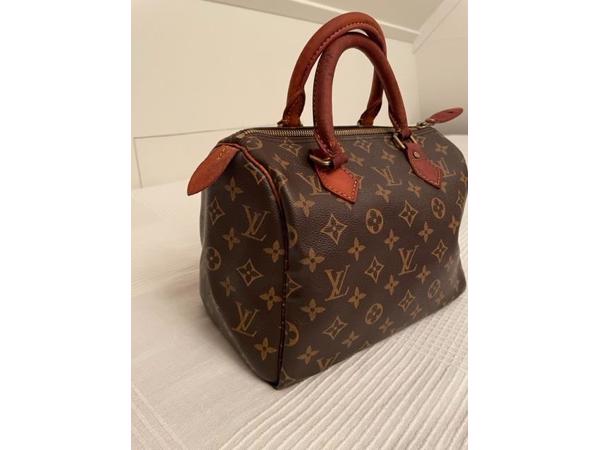 Louis Vuitton Speedy 25 tas