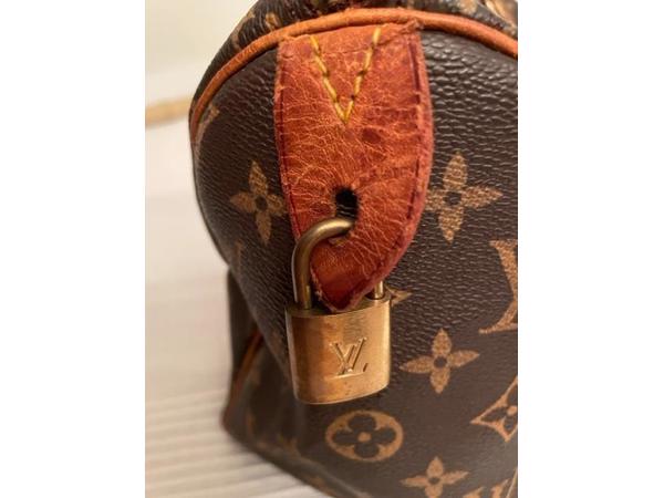 Louis Vuitton Speedy 25 tas