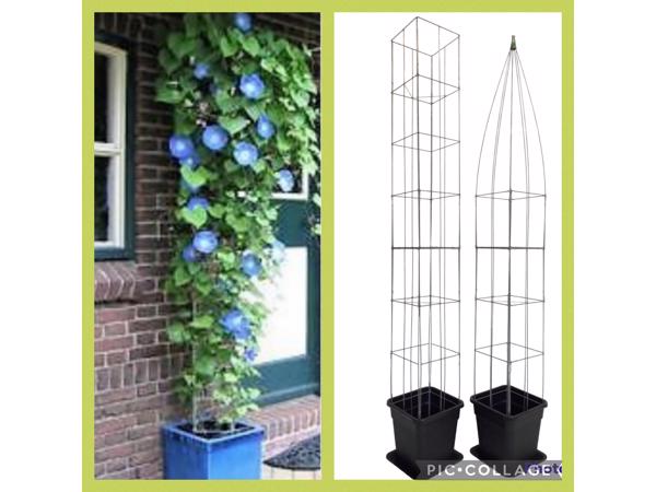 Klimrekken plantensteunen voor terras en balkon