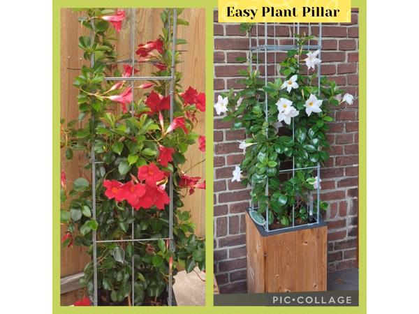 Klimrekken plantensteunen voor terras en balkon