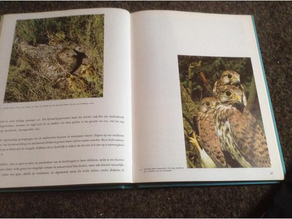 Wandeling door Waals Brabant ,de Dender, Vlaamse steden