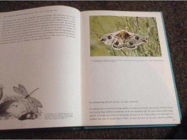 Wandeling door Waals Brabant ,de Dender, Vlaamse steden