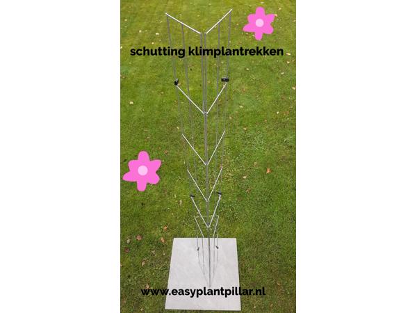 Klimplanten tegen de schutting tuinscherm of muur (clematis)