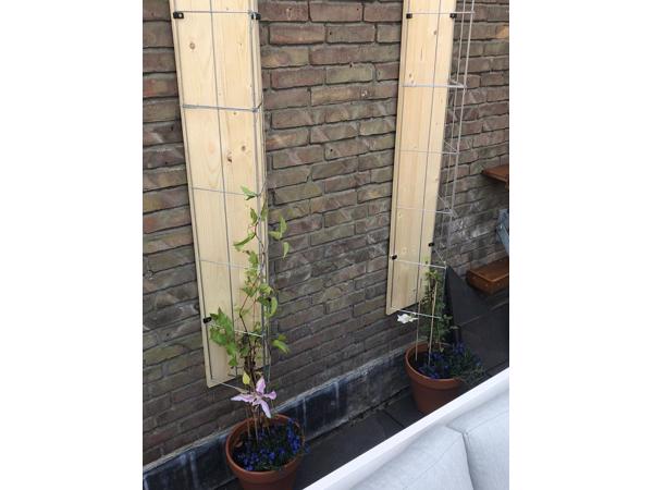 Klimplanten tegen de schutting tuinscherm of muur (clematis)