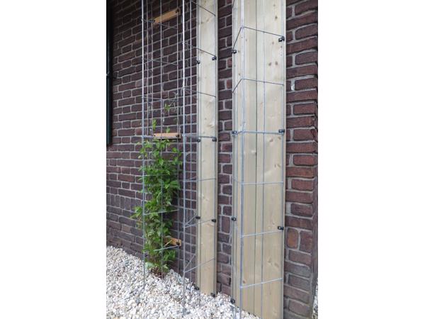 Klimplanten tegen de schutting tuinscherm of muur (clematis)