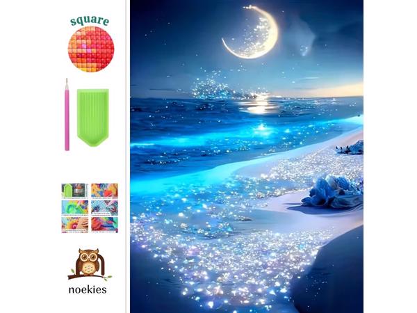 nr 7 Diamond Painting maanlicht strand 50x40cm (vierkant)