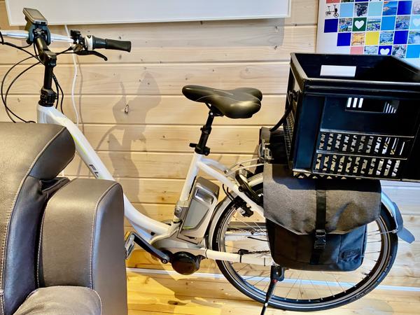 Partij Flyer Elektrische T-Serie Fietsen + Van Raam Balance