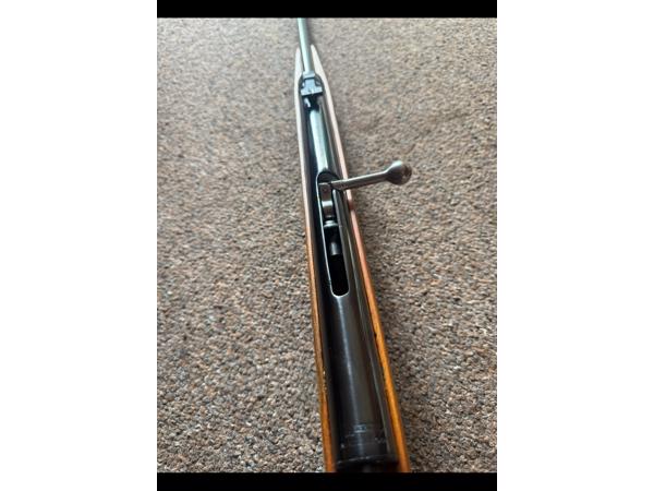 Haenel 310, zogenaamde kermisbuks