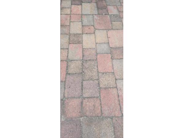 Abbeystones wildverband