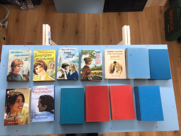 Streekromans Nederlands diverse schrijvers