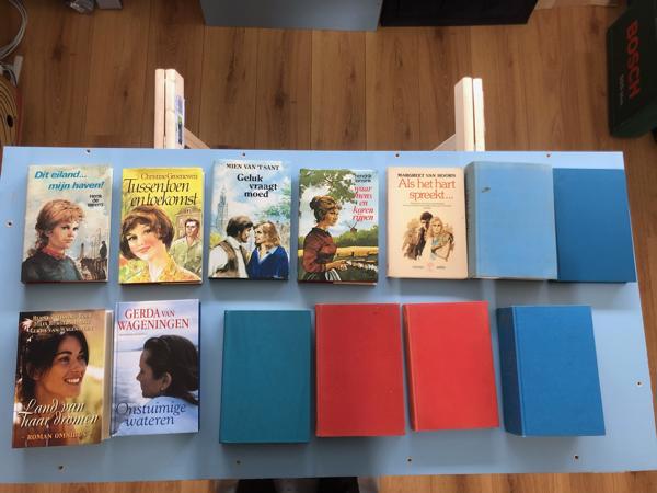 Streekromans Nederlands diverse schrijvers