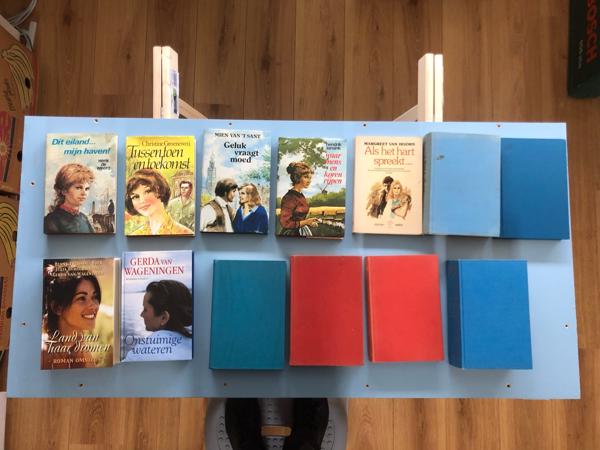 Streekromans Nederlands diverse schrijvers