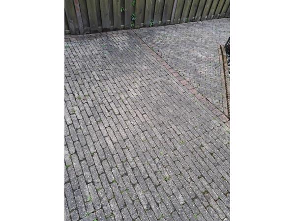 Gratis afhalen en zelf uit tuin verwijderen.