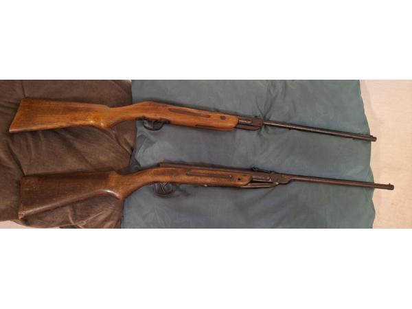 2 Luchtbuksen te koop