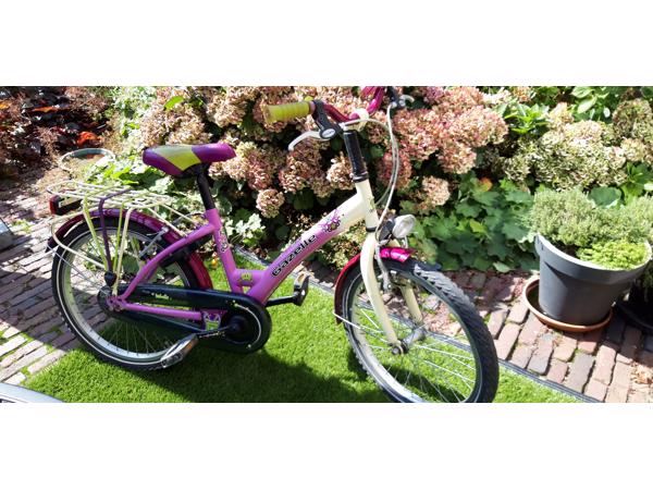 Gazelle meisjesfiets 20 inch, terugtraprem ; handremmen, verlichting