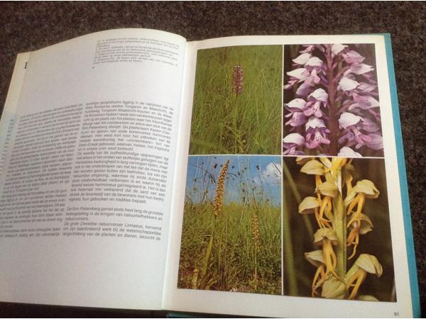 Boeken;Natuur en vogelreservaat 6 stuks,prachtige exemplaren