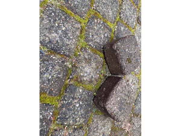 Betontegel 11x11x6  24m2