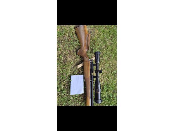 Daystate huntsman classic .22