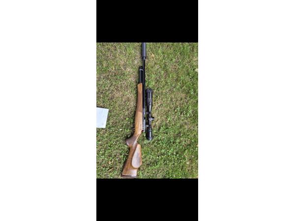 Daystate huntsman classic .22