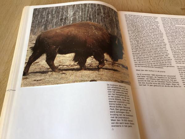 2 boeken v.Canada ,oudere & vernieuwde versie TOP