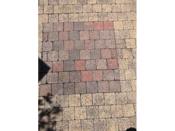 Tuin opknappen ☀️🪴