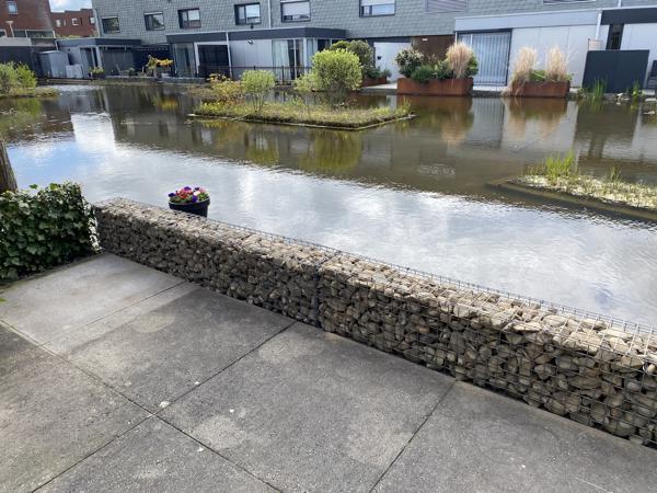 Gratis af te halen ongeveer 300 kilo maaskeien in zak