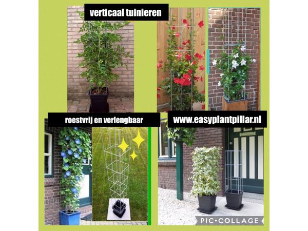 Klimplanten op het terras, tegel eruit plantrek erin