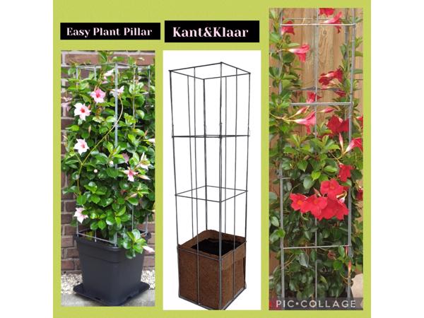 Klimplanten op het terras, tegel eruit plantrek erin