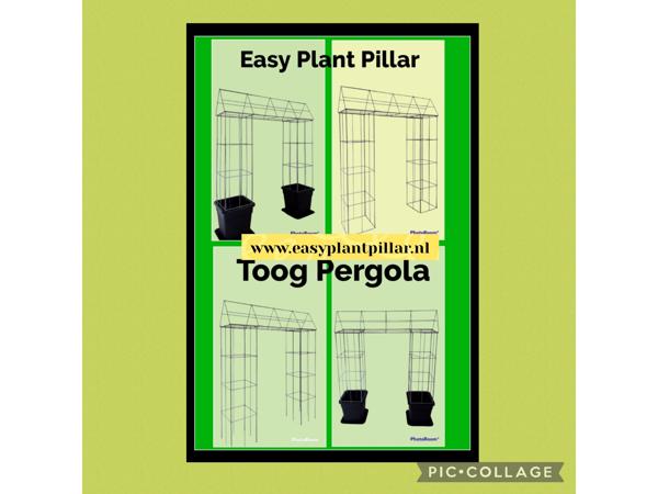 Klimplanten op het terras, tegel eruit plantrek erin