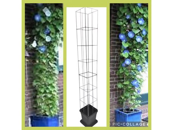 Klimplanten op het terras, tegel eruit plantrek erin