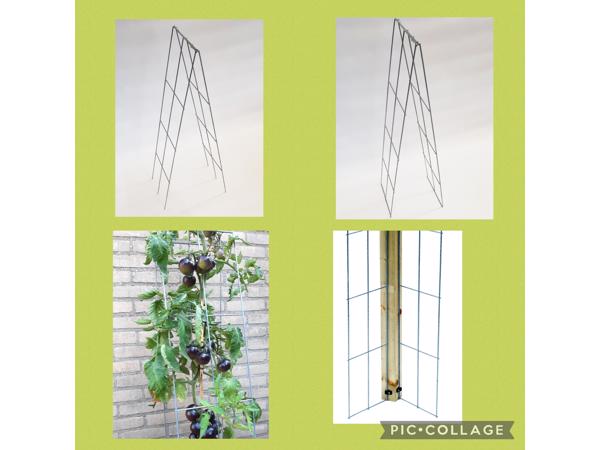 Klimplanten op het terras, tegel eruit plantrek erin