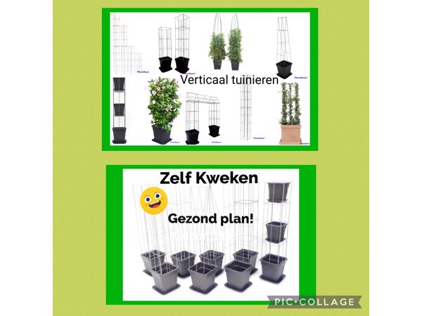 Klimplanten op het terras, tegel eruit plantrek erin