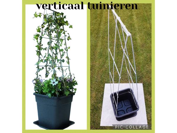Klimplanten op het terras, tegel eruit plantrek erin